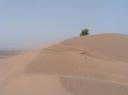 Haute dune de boudib